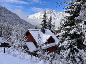 Vrijstaand chalet in het groen met ruim terras en 6 slaapkamers